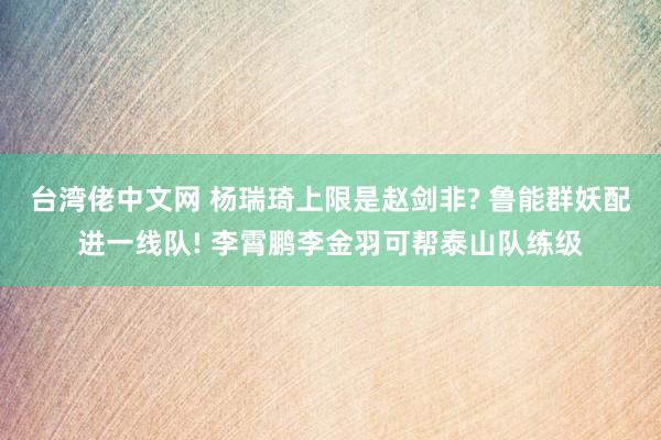 台湾佬中文网 杨瑞琦上限是赵剑非? 鲁能群妖配进一线队! 李霄鹏李金羽可帮泰山队练级