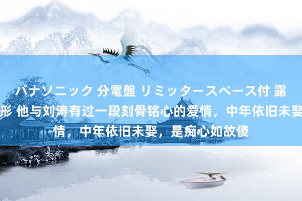 パナソニック 分電盤 リミッタースペース付 露出・半埋込両用形 他与刘涛有过一段刻骨铭心的爱情，中年依旧未娶，是痴心如故傻