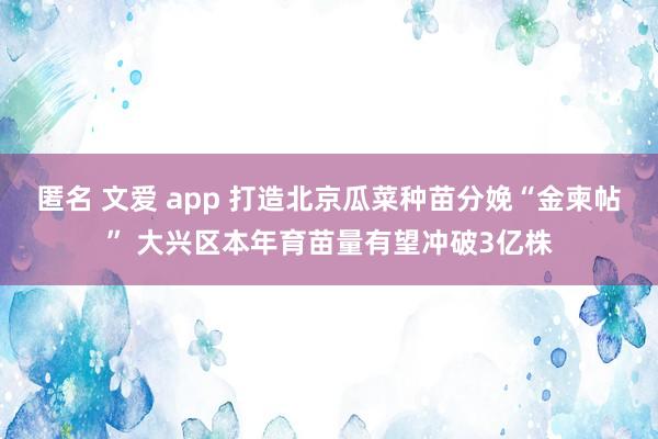 匿名 文爱 app 打造北京瓜菜种苗分娩“金柬帖” 大兴区本年育苗量有望冲破3亿株